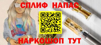 стафф Ставрополь