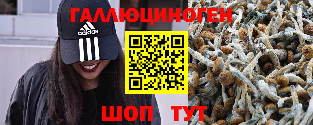 Галлюциногенные грибы Cubensis Назарово