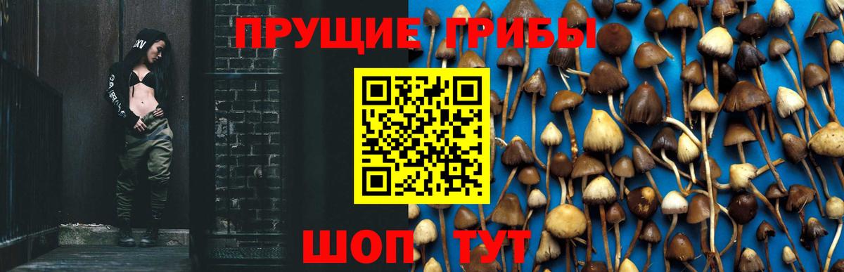 Псилоцибиновые грибы Magic Shrooms  Вход с VPN  Назарово 